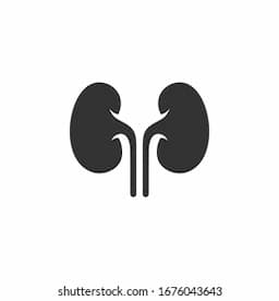Kidney damage